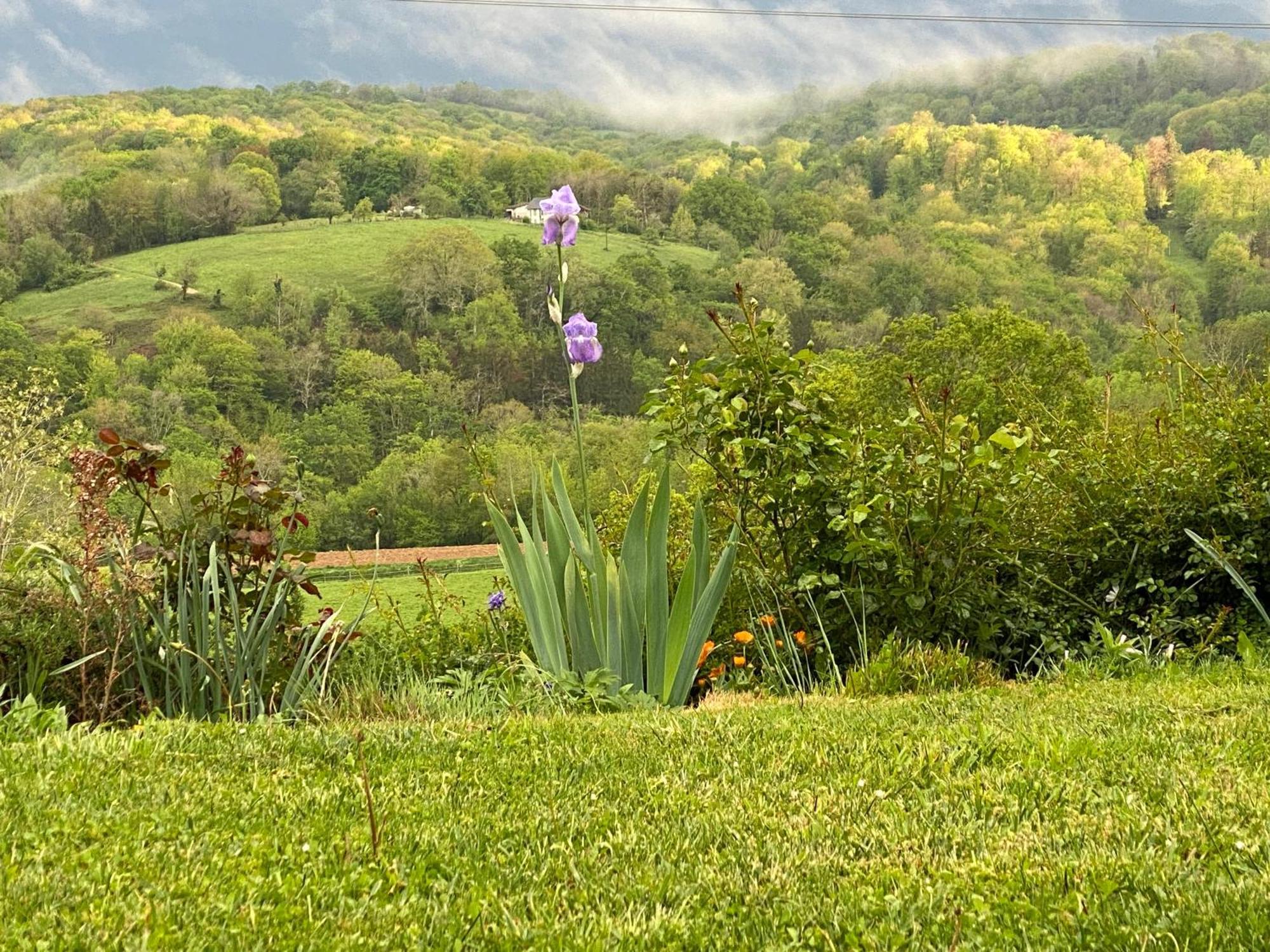 Apartamento Poulou Pyrenees Gelos Exterior foto